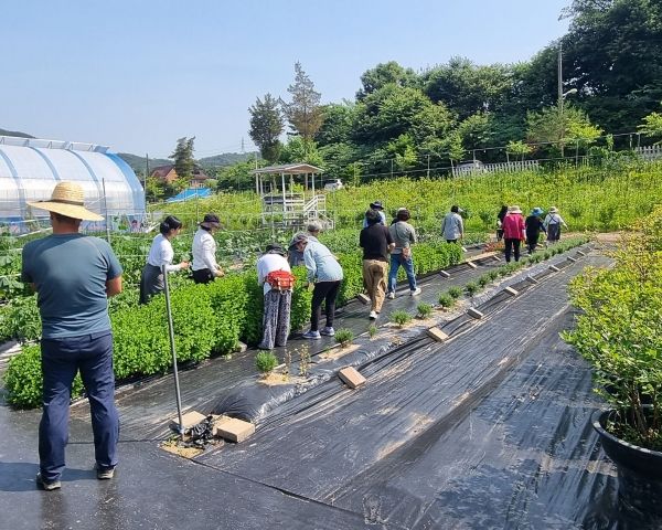 bdf2c7f883657216a81c57a63bc25a89_1727090